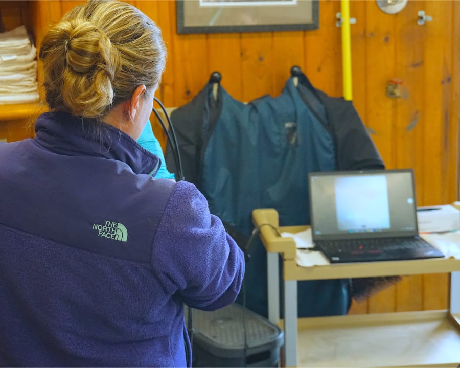 Equine Endoscopy, Gresham Vets